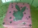 playboy