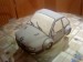 bmw pre suseda